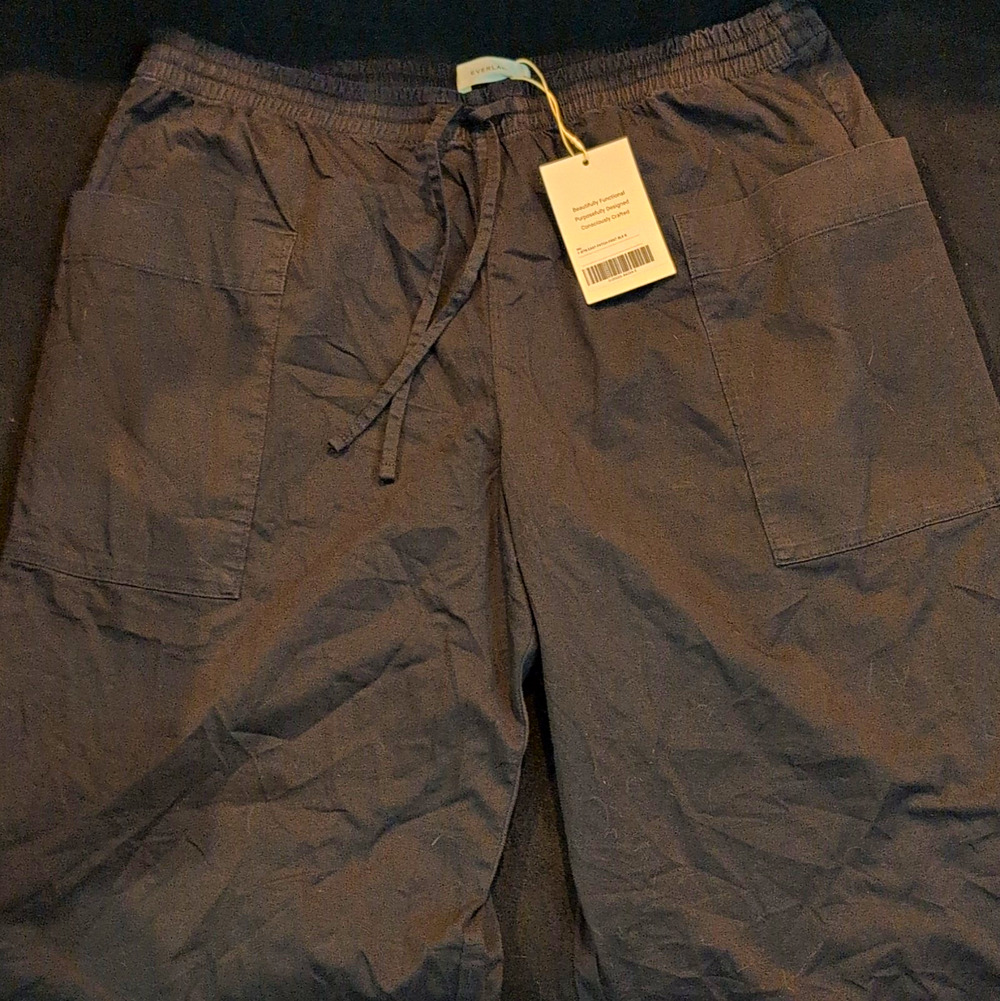 Everlane Casual Pants Drawstring Elastic Waist Patch Pockets Blue XL New W/ Tags